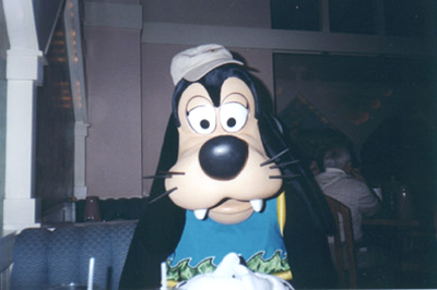 goofy