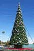 dsxmastree