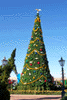 epcotxmastree