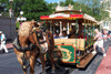 horsetrolley1